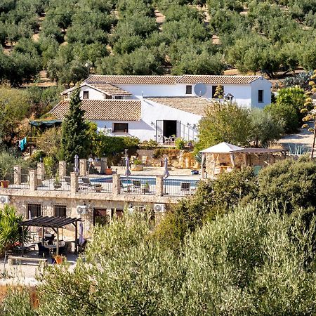 Algarinejo Hacienda La Buena Vida B&B En Appartementen Casita La Bruja חדר תמונה