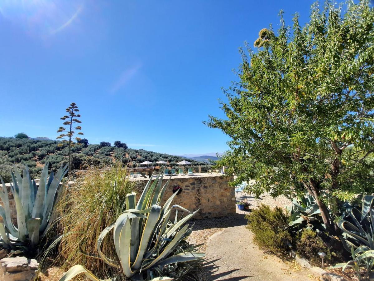 Algarinejo Hacienda La Buena Vida B&B En Appartementen Casita La Bruja מראה חיצוני תמונה