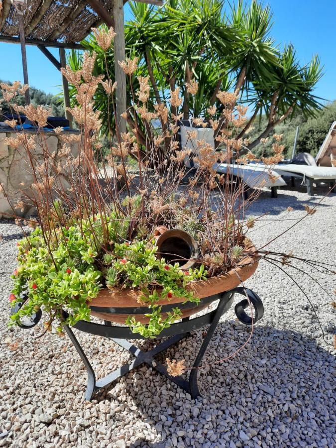 Algarinejo Hacienda La Buena Vida B&B En Appartementen Casita La Bruja מראה חיצוני תמונה
