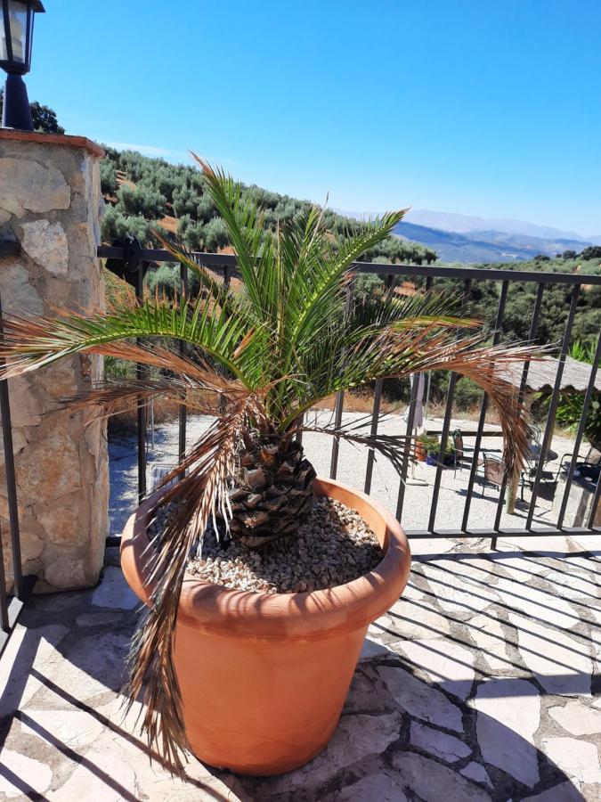 Algarinejo Hacienda La Buena Vida B&B En Appartementen Casita La Bruja מראה חיצוני תמונה