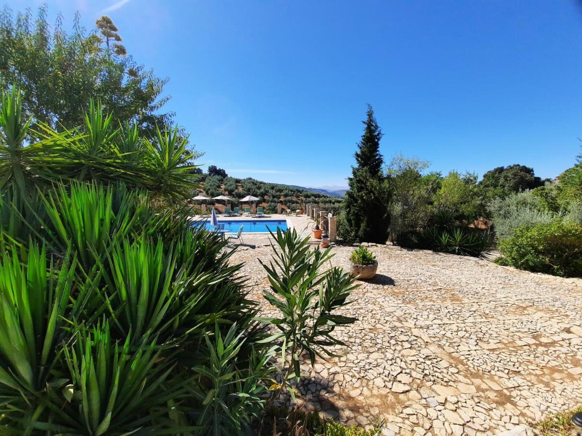 Algarinejo Hacienda La Buena Vida B&B En Appartementen Casita La Bruja מראה חיצוני תמונה
