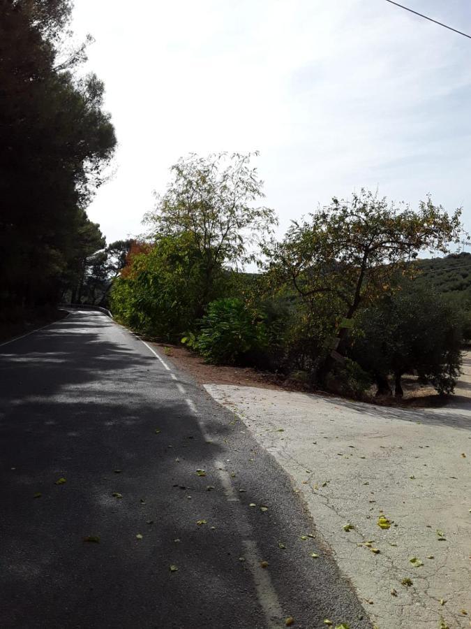 Algarinejo Hacienda La Buena Vida B&B En Appartementen Casita La Bruja מראה חיצוני תמונה