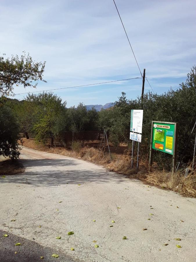 Algarinejo Hacienda La Buena Vida B&B En Appartementen Casita La Bruja מראה חיצוני תמונה