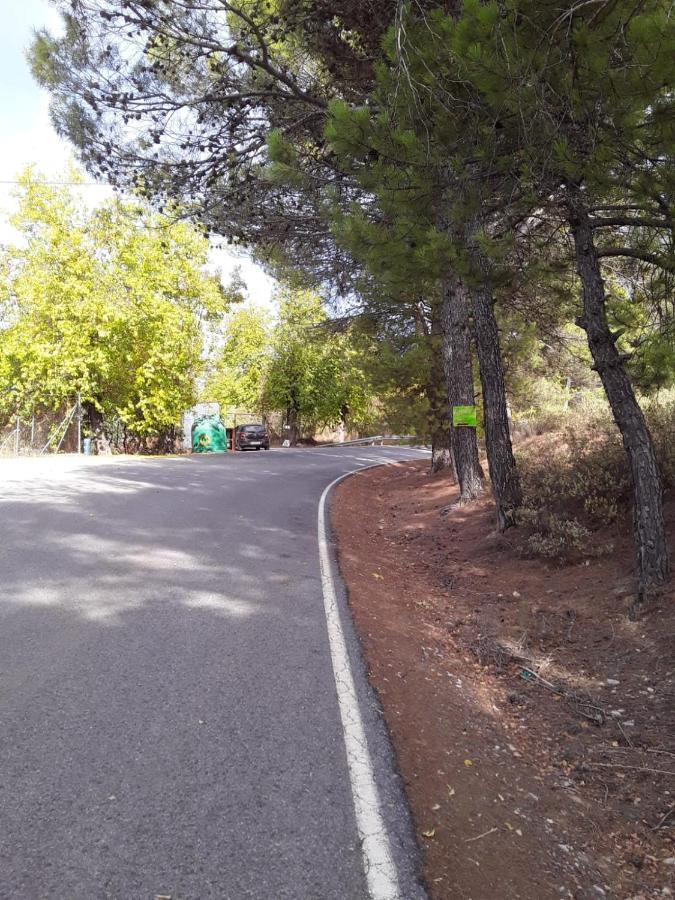 Algarinejo Hacienda La Buena Vida B&B En Appartementen Casita La Bruja מראה חיצוני תמונה