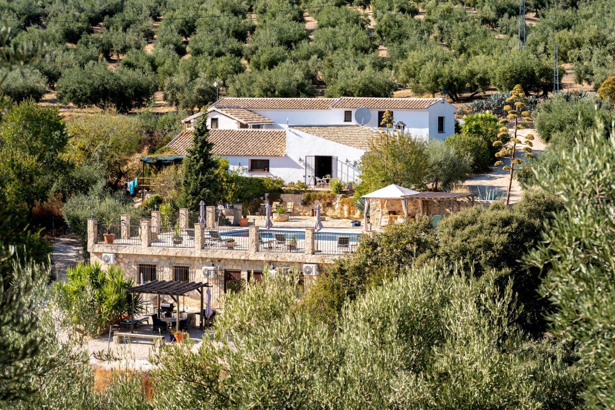 Algarinejo Hacienda La Buena Vida B&B En Appartementen Casita La Bruja חדר תמונה